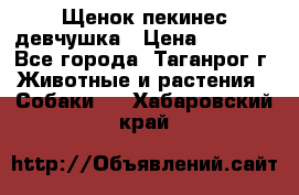 Щенок пекинес девчушка › Цена ­ 2 500 - Все города, Таганрог г. Животные и растения » Собаки   . Хабаровский край